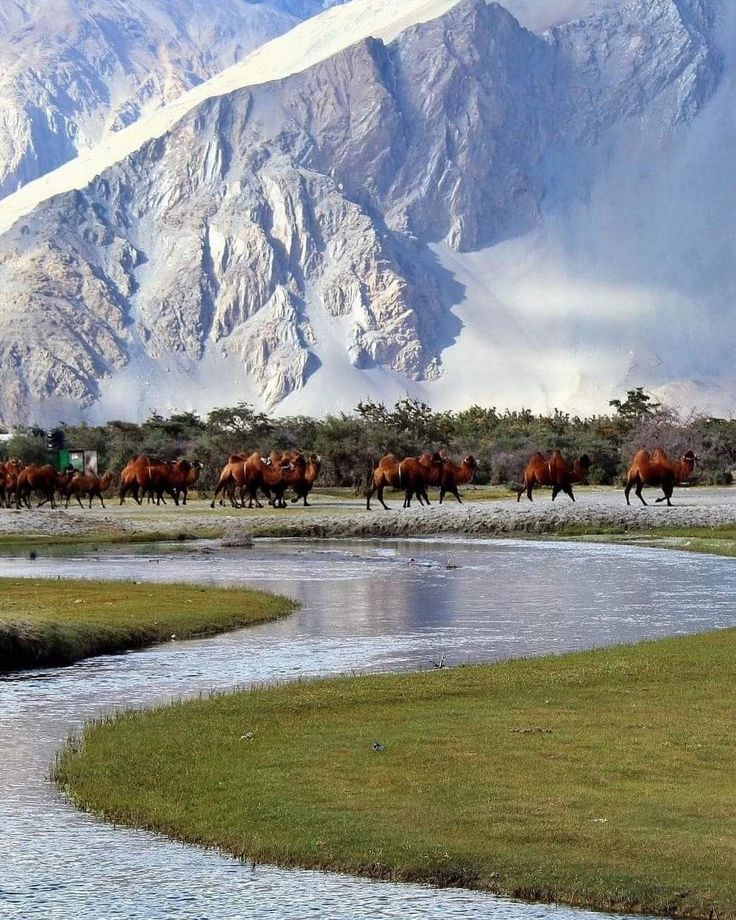 leh ladakh lake 